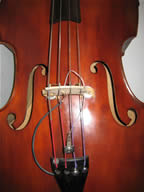 German 3/4 Bass carved Conrad Gotz  from the 50's or 60's  